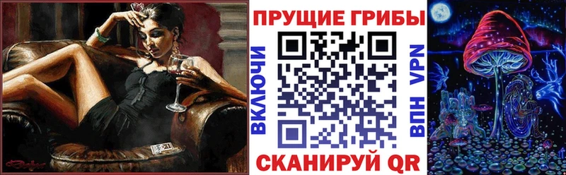 Псилоцибиновые грибы прущие грибы  купить  сайты  Богучар 